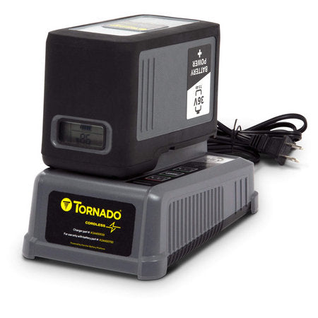 Battery for Microburst Auto Scrubber - Lithium Iron Phosphate 36V 8Ah