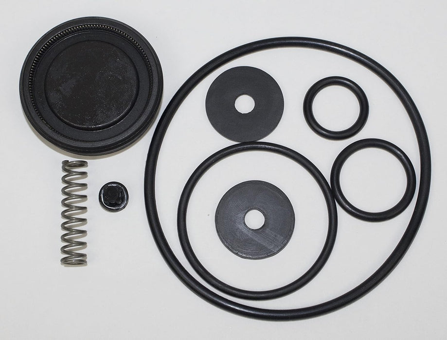 SOLO Piston Pump Repair Kit for 315-A and 425-HD - 0610407-K