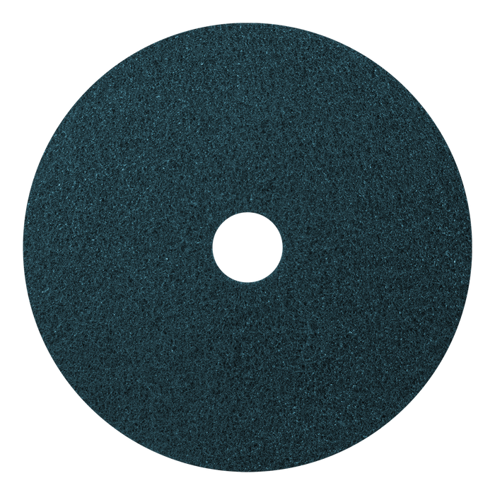 Black Diamond 200 Grit Blue Pad