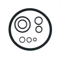 SOLO EPDM Pump Repair Kit for 305-B, 307-B, 309-FB and 388 - 4900406-K
