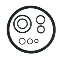 SOLO FKM Pump Repair Kit for CLEANLine and 378 Sprayers - 4900407-K
