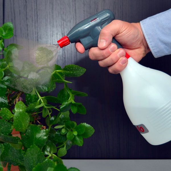 solo garden sprayer Solo Hand-Held Battery Powered Sprayer